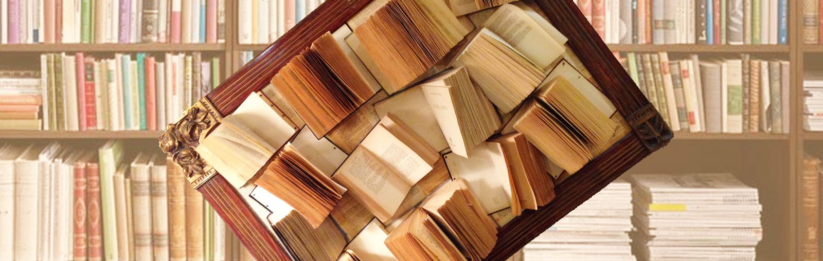 Decora tu casa dándoles a tus libros un nuevo uso