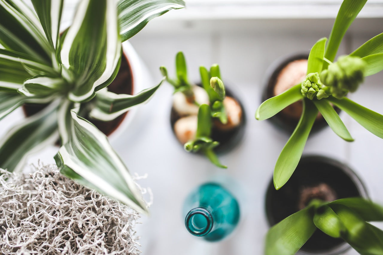 Haz tu jardinera vertical con palés